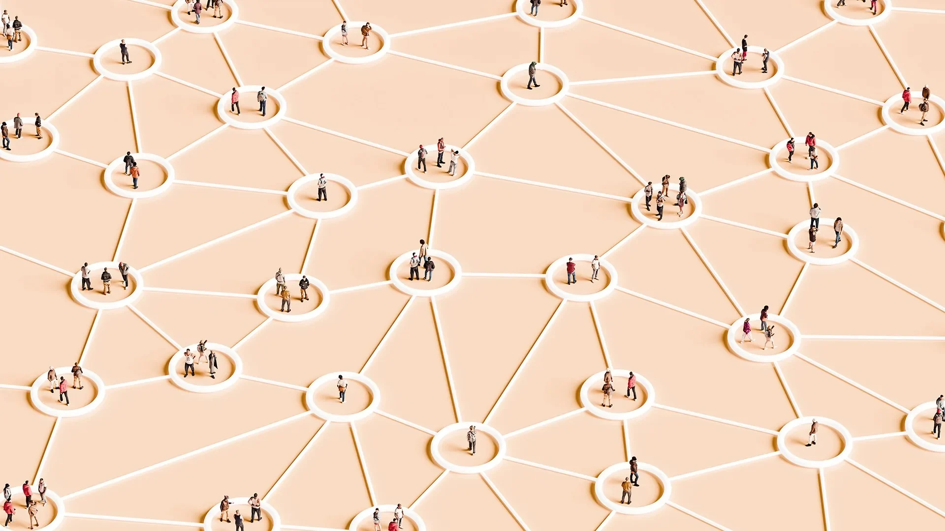 Nghiên cứu của Harvard và OpenAI